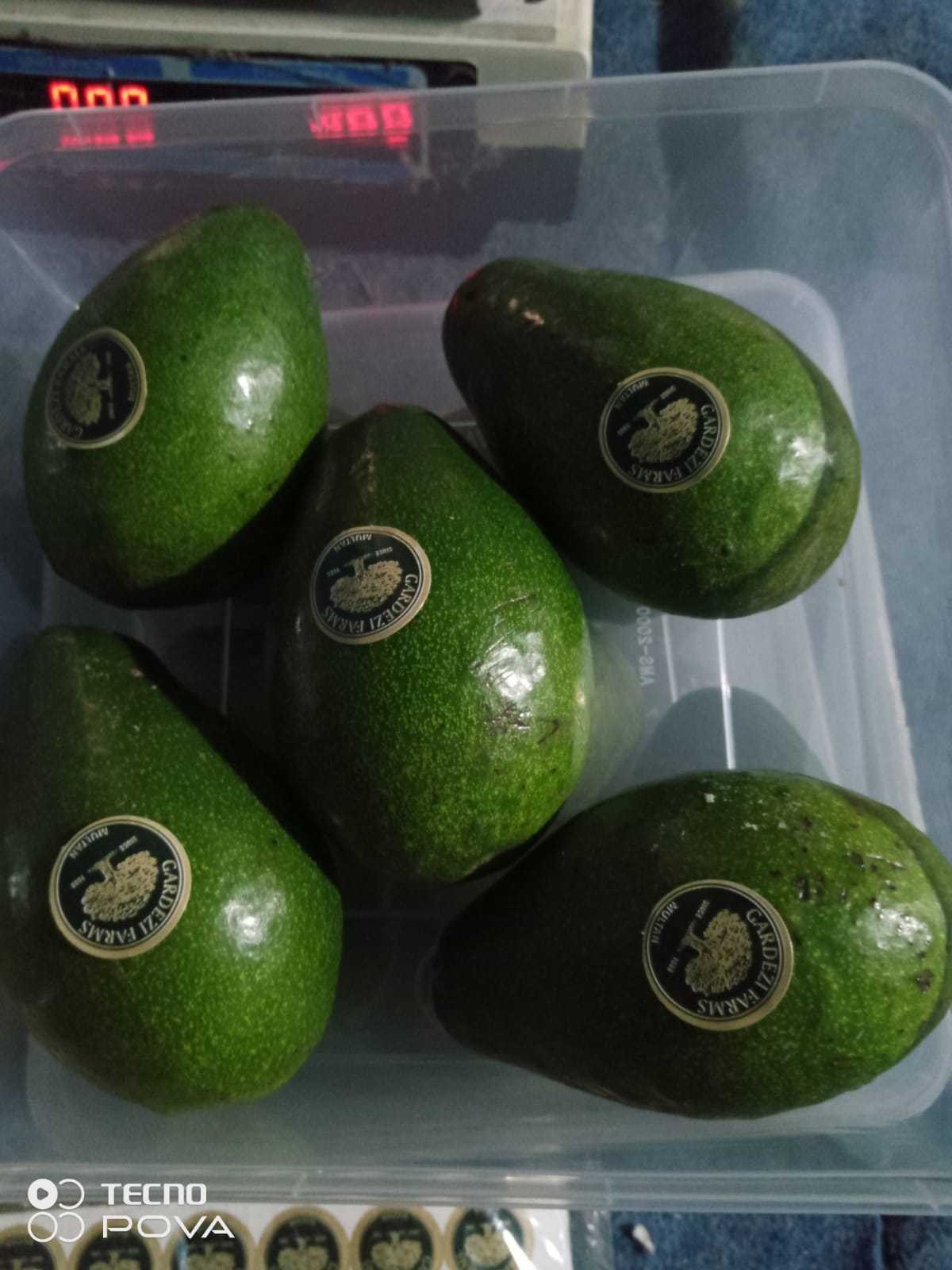 Avocado - (Imported)
