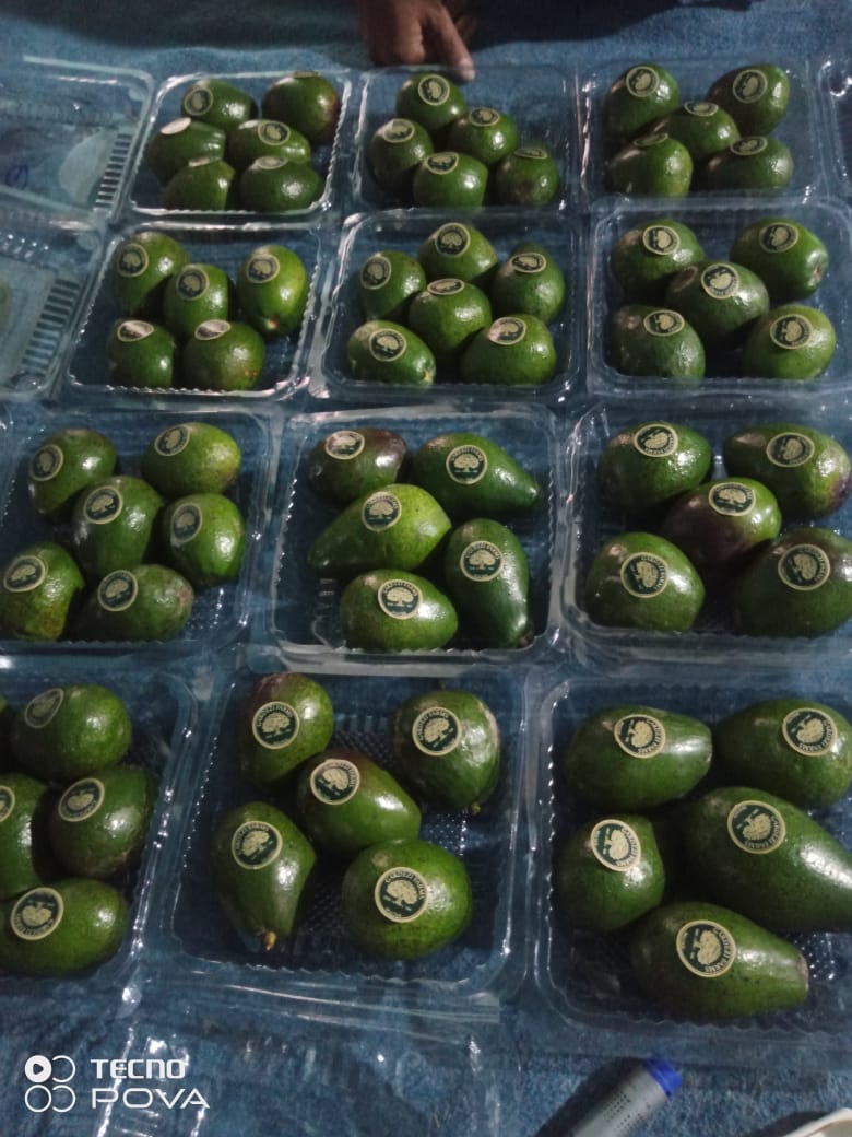 Avocado - (Imported)