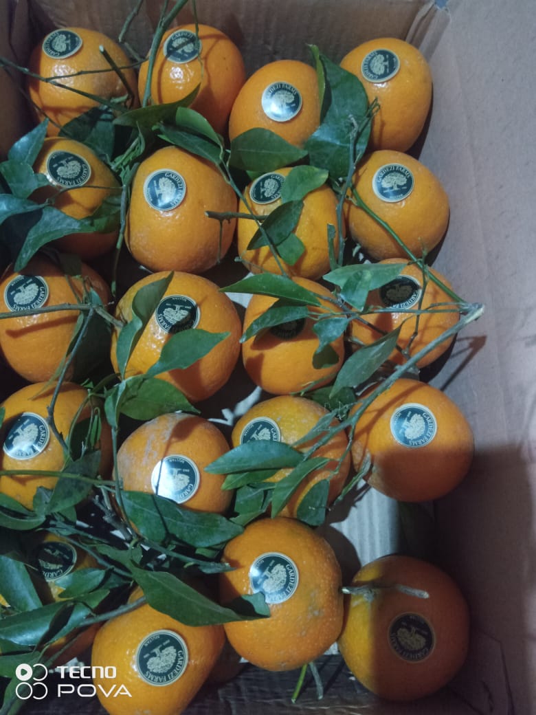 Kinnow - Mandarin Orange (Available Now)
