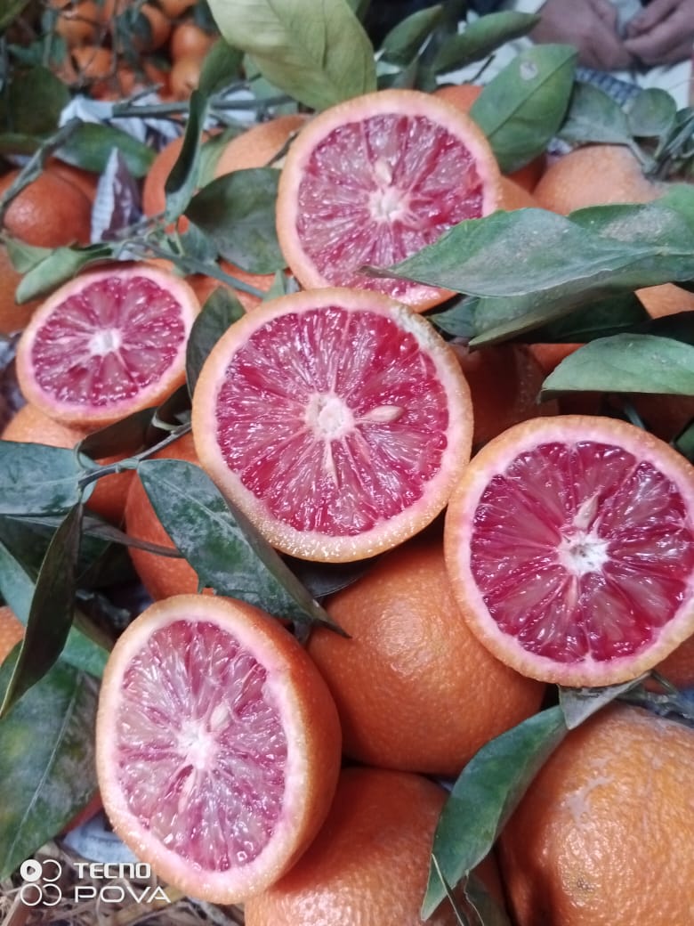 Blood Red Orange