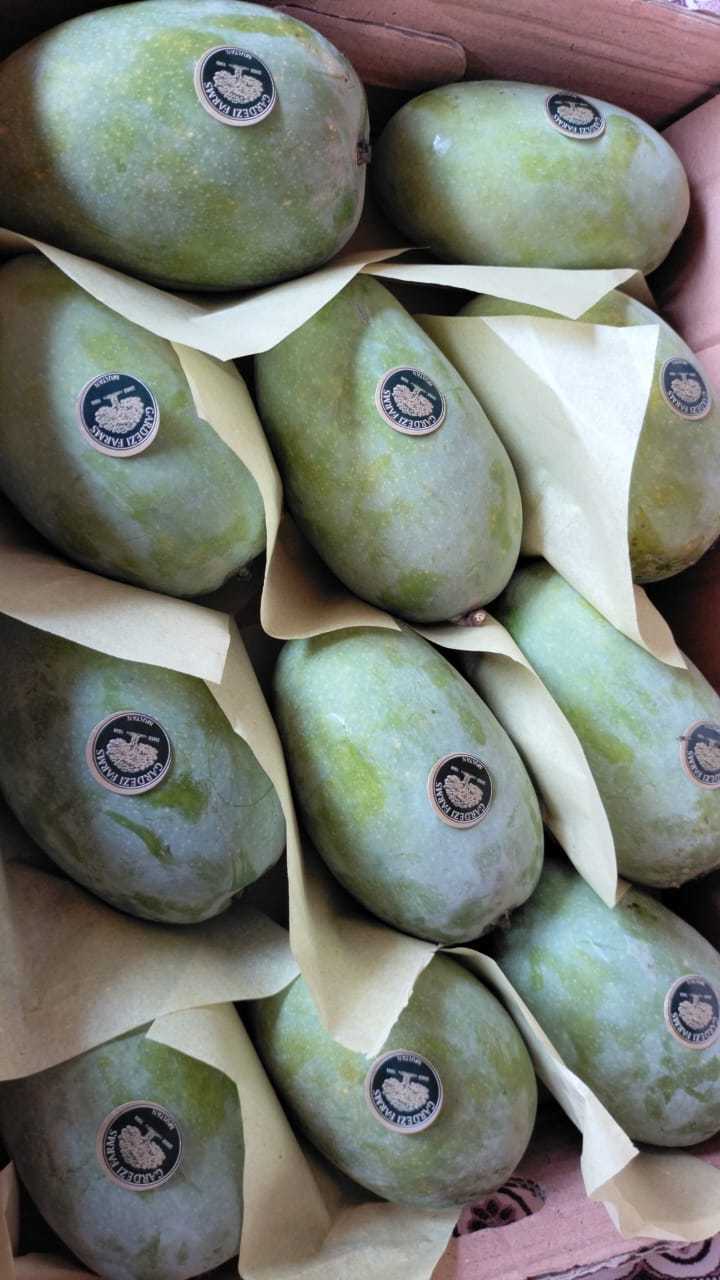 Nawab Puri Mango