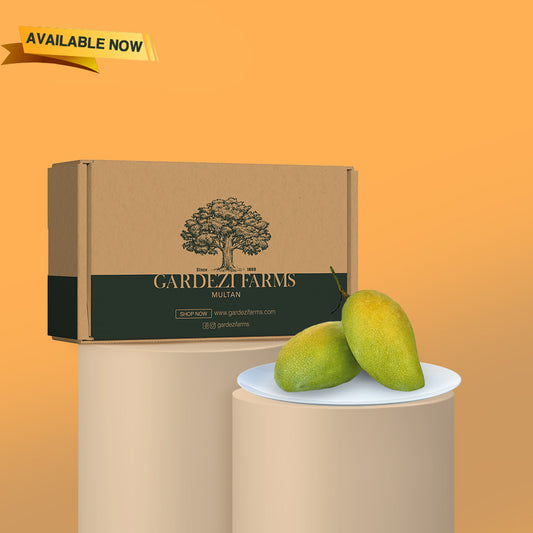 Fajri Mango (Pre-Order) Tentative Harvesting Date 20th July