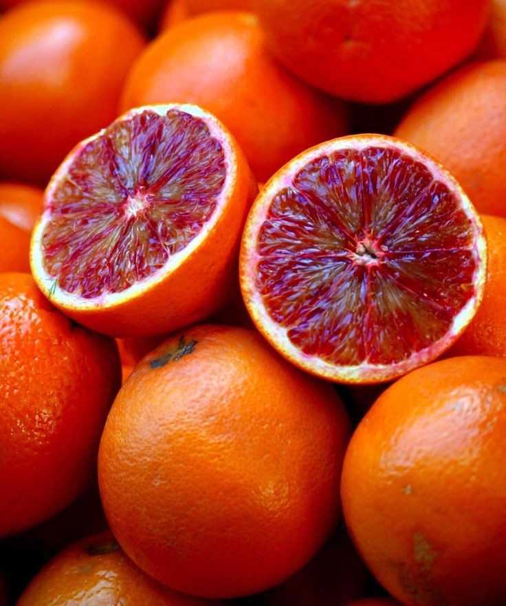 Red Blood Oranges (Malta)