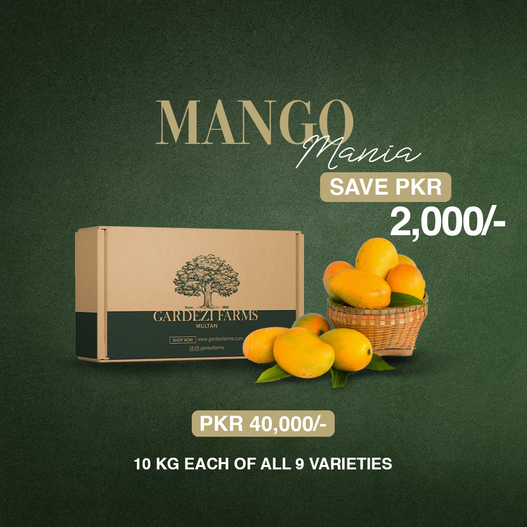 Mango Seasonal Subscription