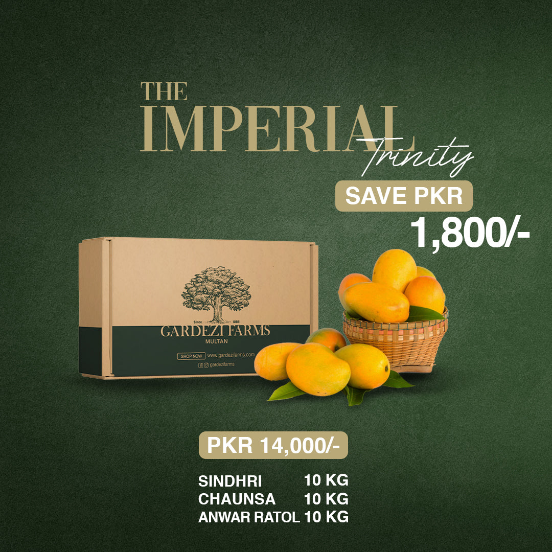 Mango Seasonal Subscription