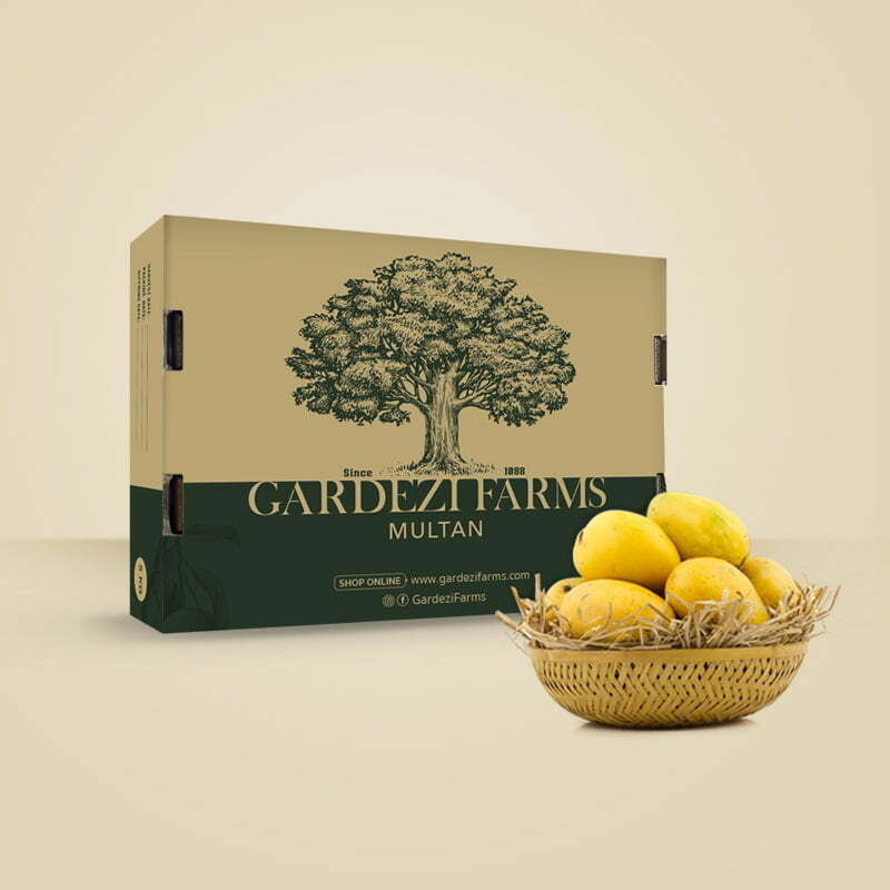 Chaunsa Mango (Available Now)