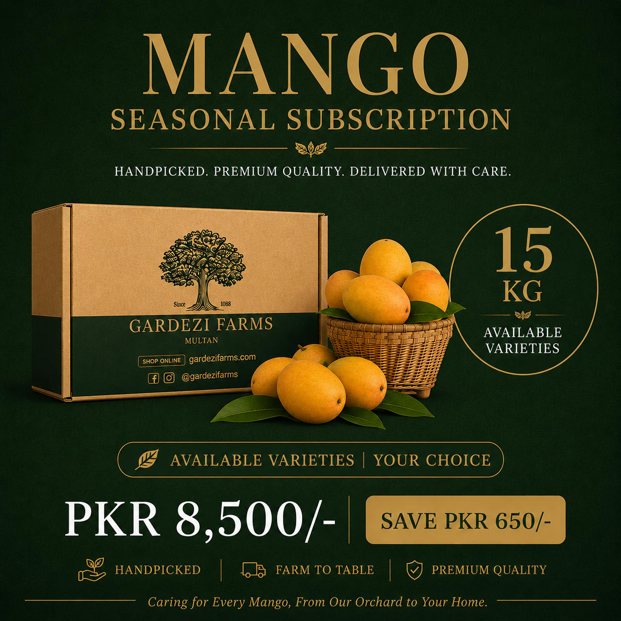 Mango Seasonal Subscription