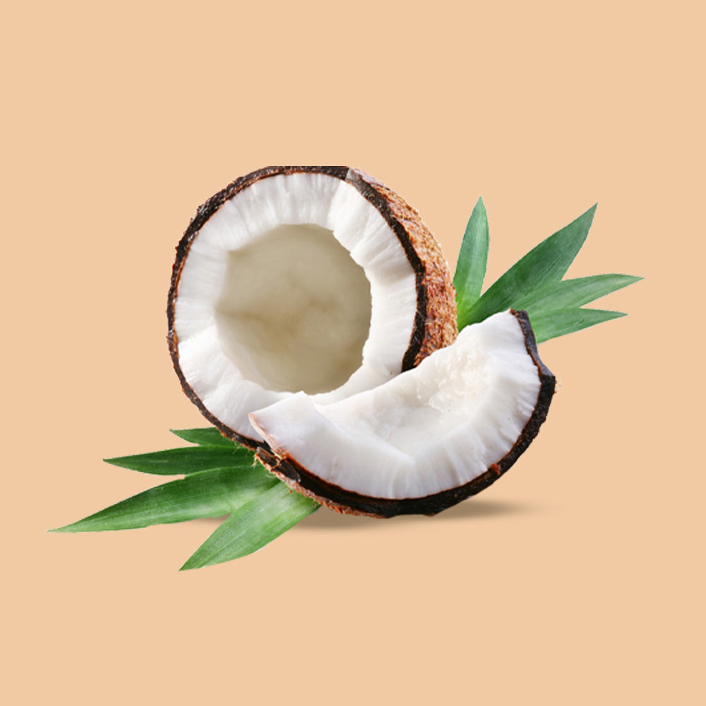 Coconut - Nariyal - Fresh Fruit